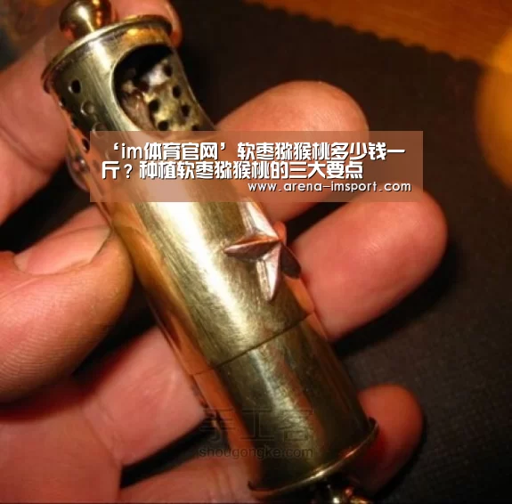 ‘im体育官网’软枣猕猴桃多少钱一斤?种植软枣猕猴桃的三大要点(图2) im体育集团