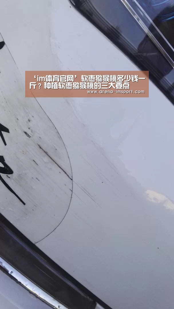 ‘im体育官网’软枣猕猴桃多少钱一斤?种植软枣猕猴桃的三大要点(图3) im体育集团