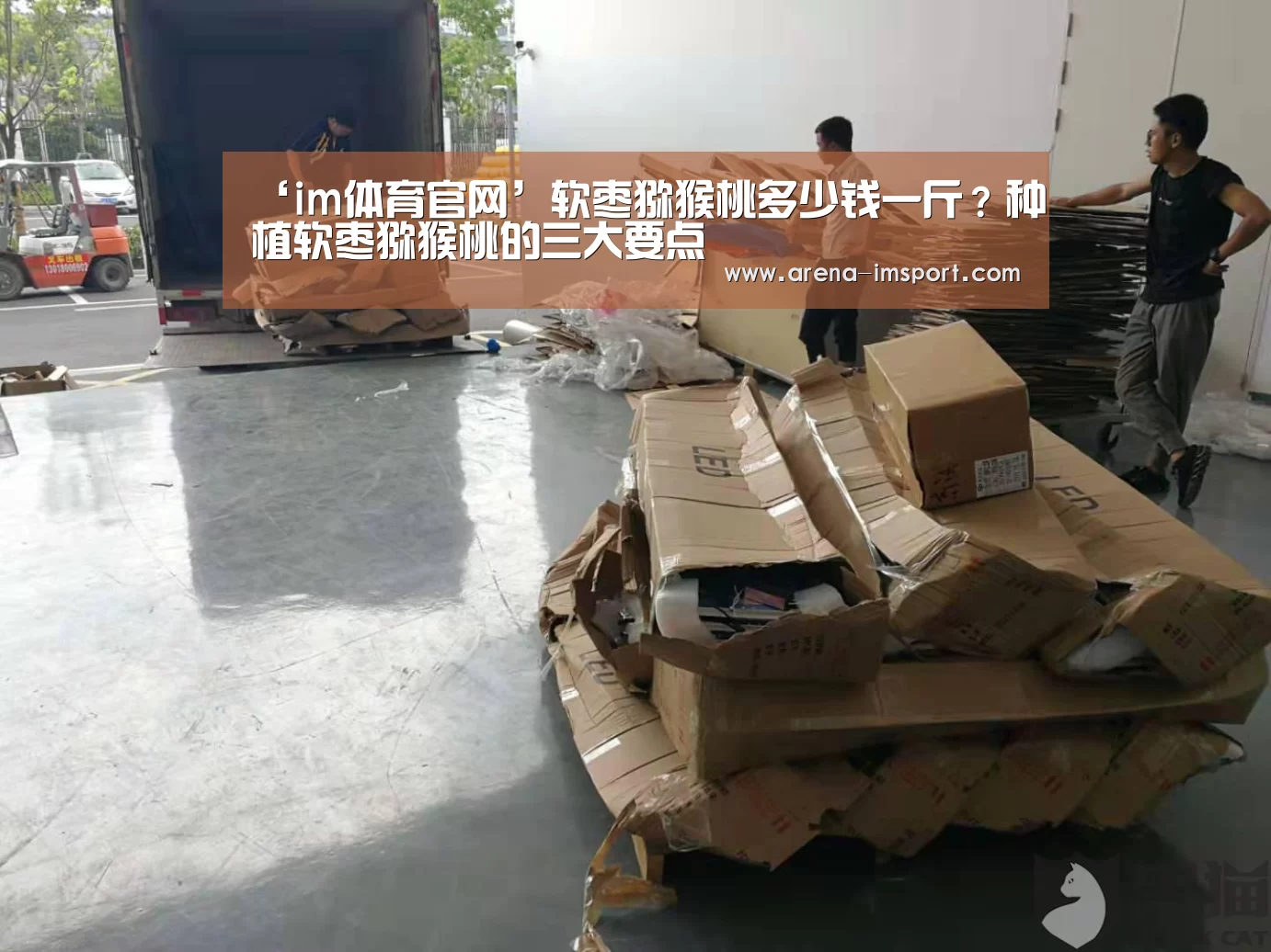 ‘im体育官网’软枣猕猴桃多少钱一斤?种植软枣猕猴桃的三大要点(图4) im体育分部