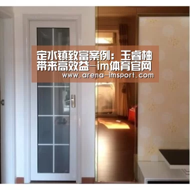 定水镇致富案例：玉睿柚带来高效益-im体育官网