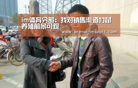 im体育官网