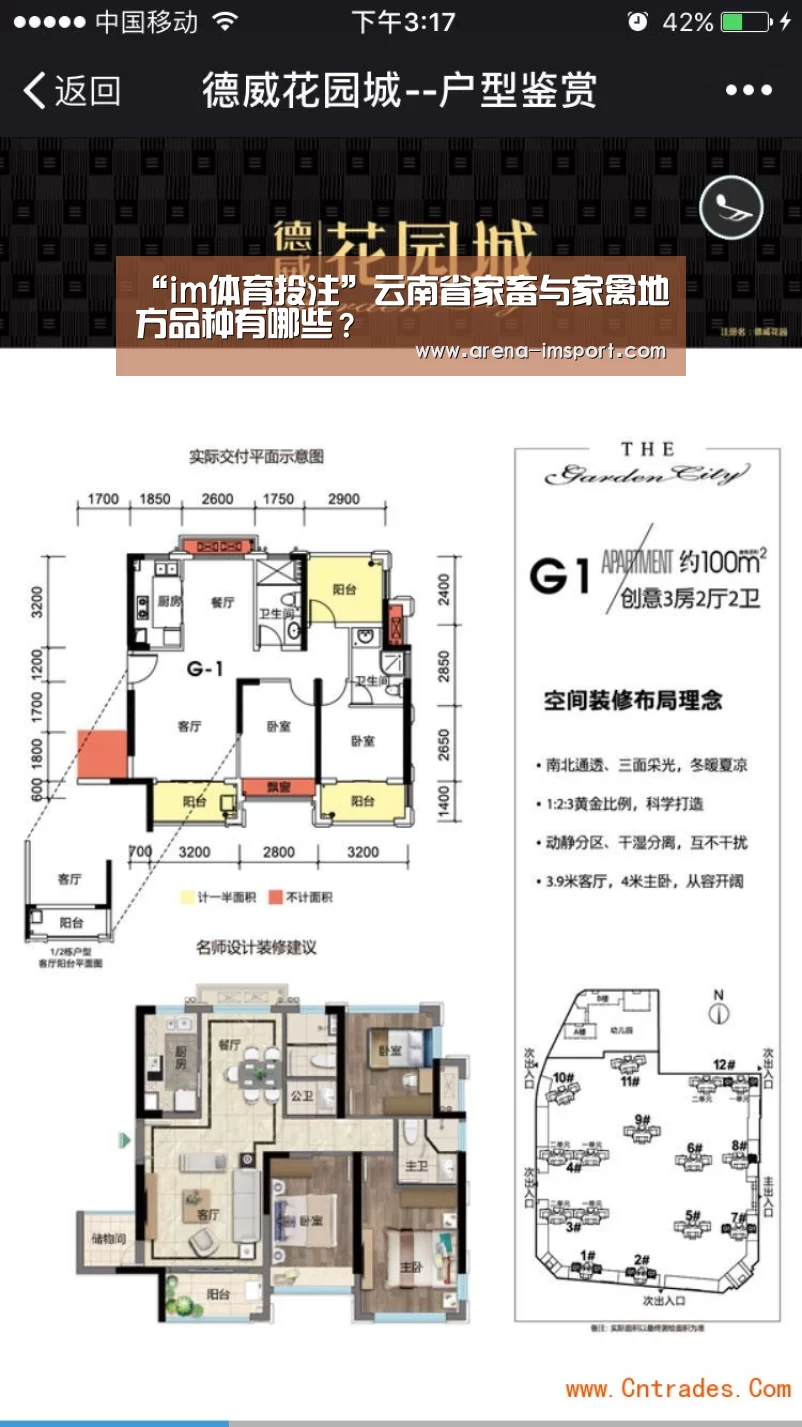 im体育投注