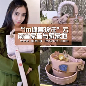 im体育投注