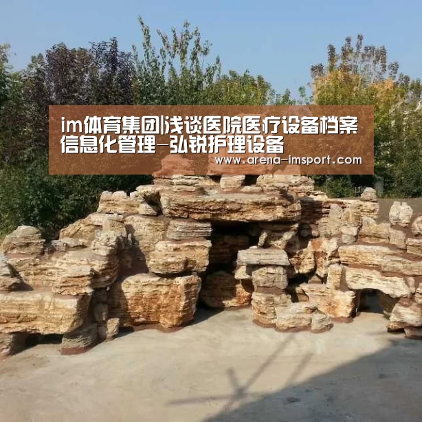 im体育集团|浅谈医院医疗设备档案信息化管理-弘锐护理设备(图3) im体育集团