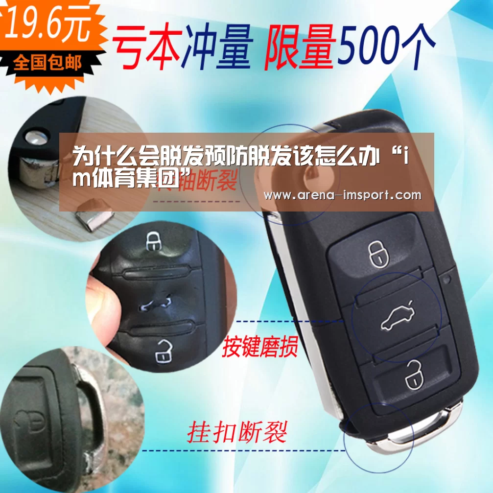 im体育集团