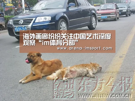 im体育分部