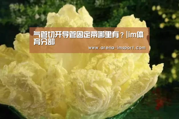 im体育集团
