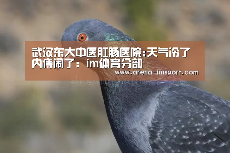 im体育官网