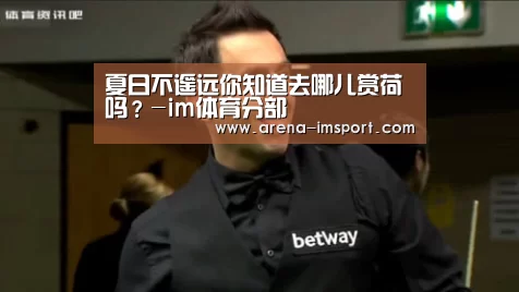 夏日不遥远你知道去哪儿赏荷吗?-im体育分部(图2) im体育官网