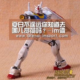 夏日不遥远你知道去哪儿赏荷吗?-im体育分部(图1) im体育官网